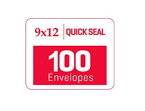 9 X 12 Self-Seal Brown Kraft Catalog Mailing Envelopes - 28lb - 100 Count, 9x12 Inch (38300)